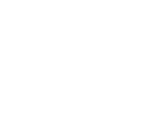 Ricca Sposa Logo